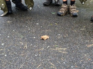 Sint-Martinus den XIIde - Kamp Bourseigne-Neuve WK